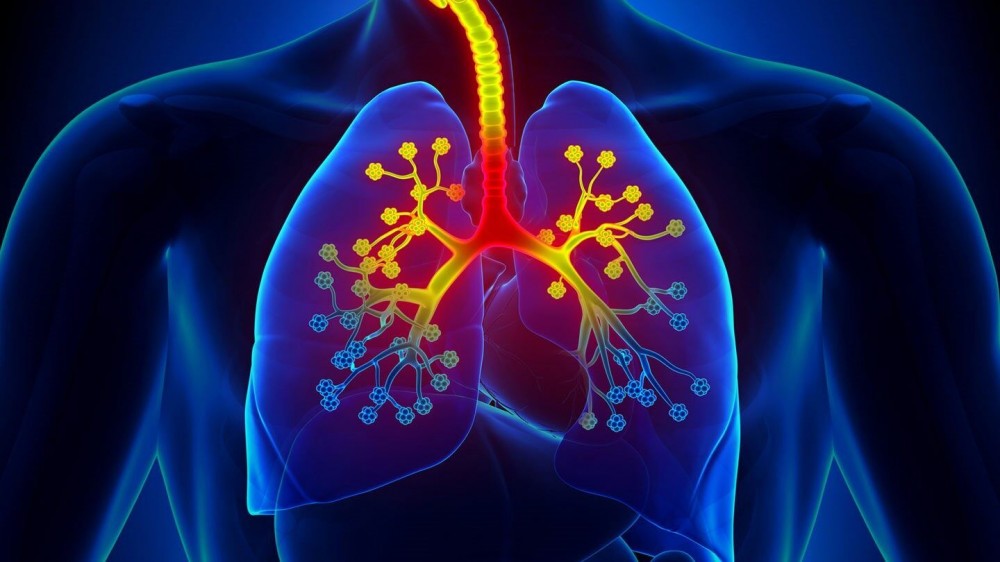 Asthma – Symptome, Ursachen und Behandlungen