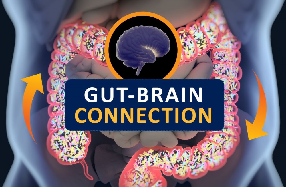 The Brain-Gut Connection | Maximed Turkey Health Services