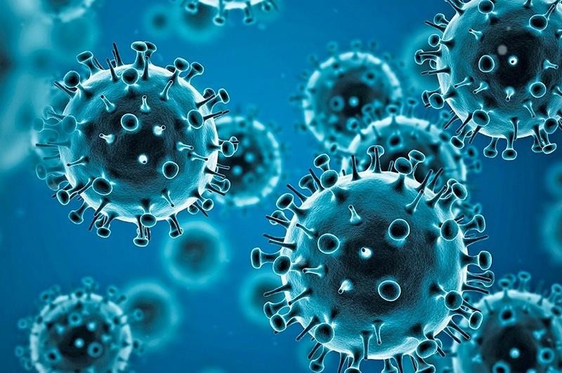 Coronavirus - Geschichte, Übertragung, Symptome und Diagnose