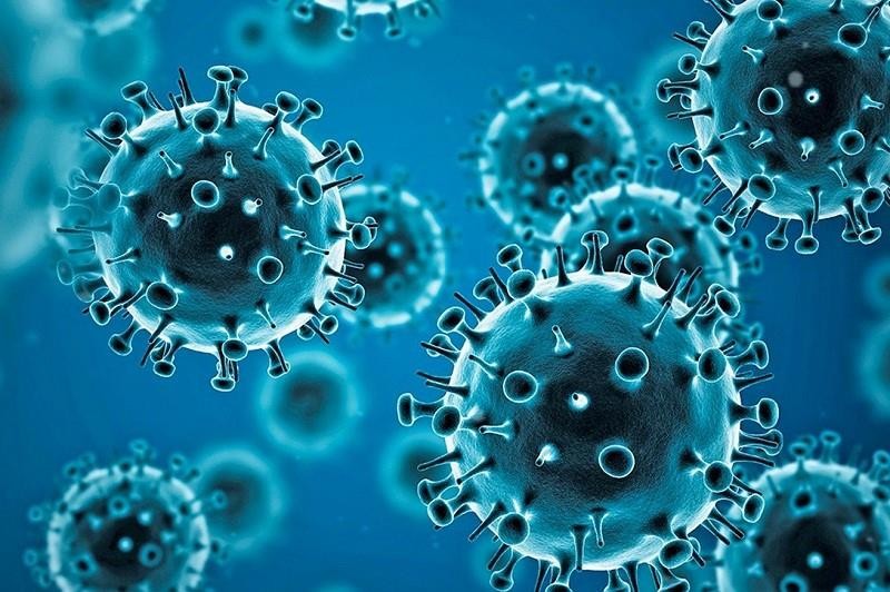 Coronavirus - History, Transmission, Symptoms and Diagnosis